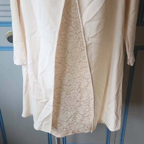 Badgley Mischka Ivory Lace Wedding Dress with Silk Overlay - Picture 4 of 16